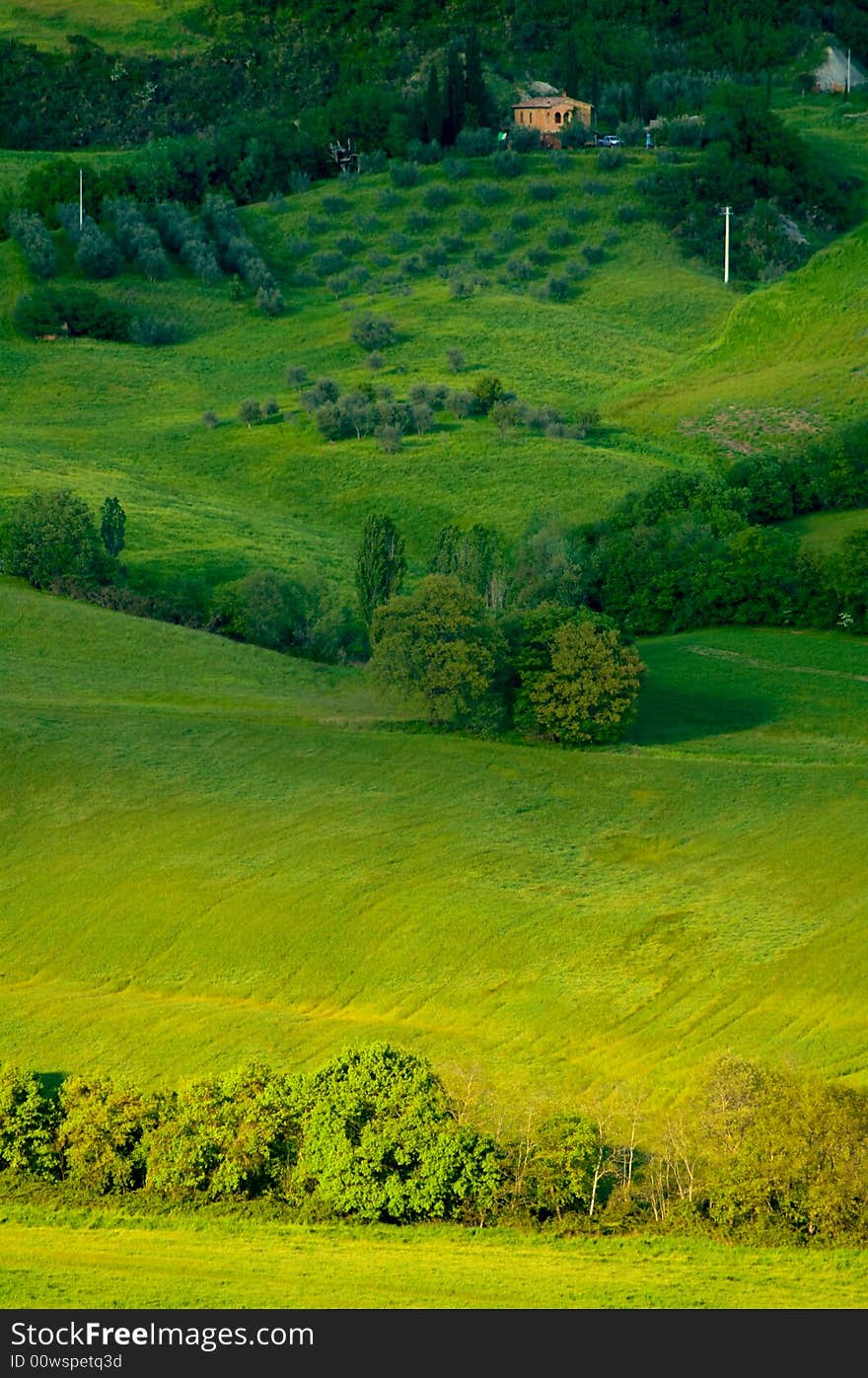 Italian fields