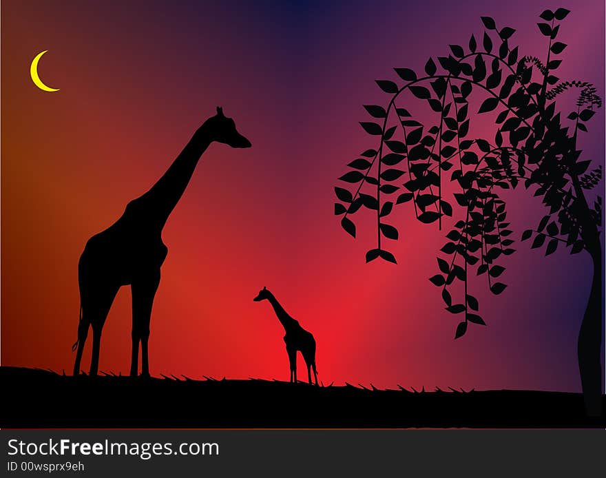 Giraffe front of beautiful sky