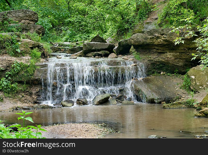 Rapids in the forest