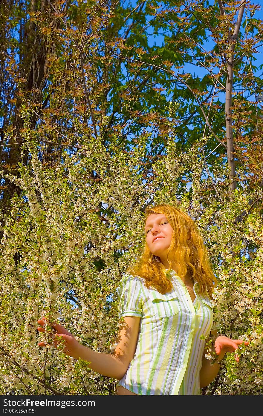 Girl Near Yellow Flowers Tree