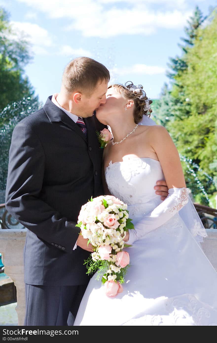 Kiss of a bride and a groom. Kiss of a bride and a groom