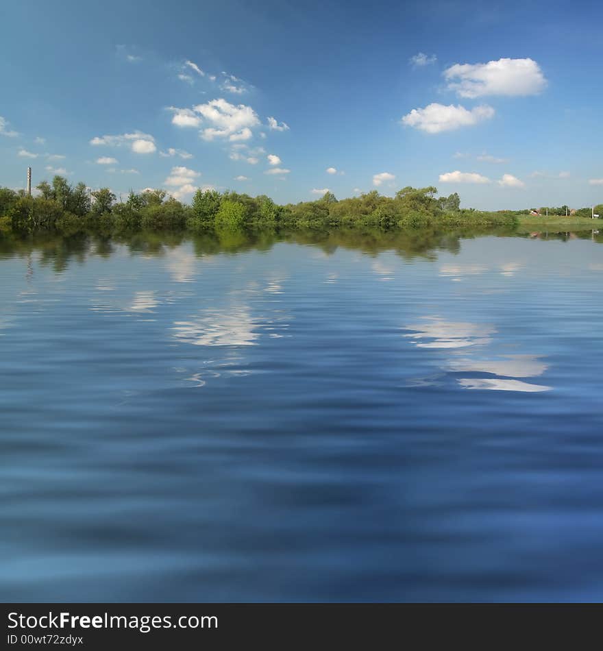 Forest on lake coast