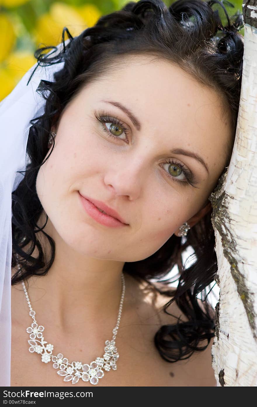 A bride embraces a birch. A bride embraces a birch