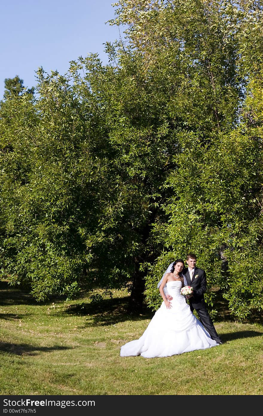 A bride and a groom dance in the park. A bride and a groom dance in the park