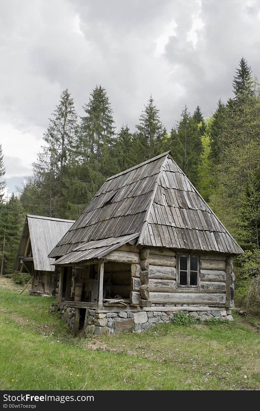 Old log cabin in forest