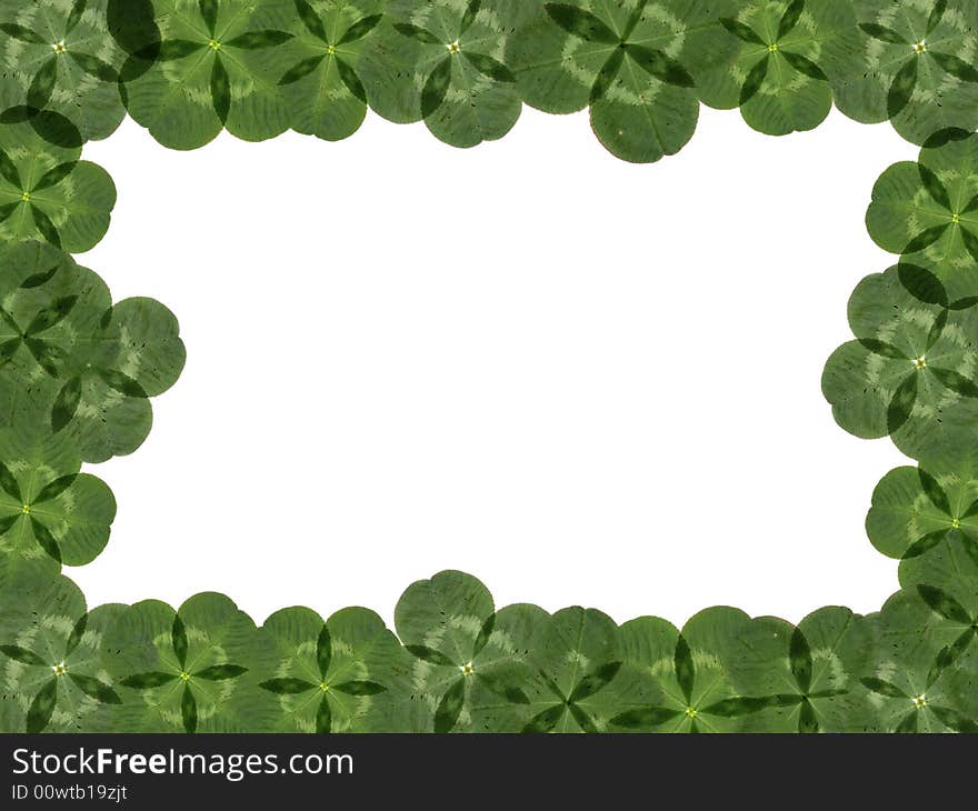 Frame made of four-leaf clover