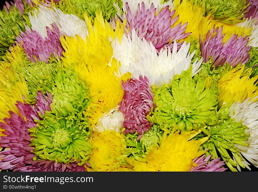 Bouquet of many-colored flowers