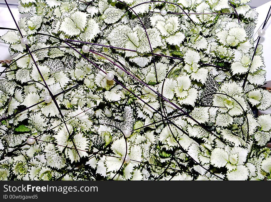 A creative white spring background. A creative white spring background