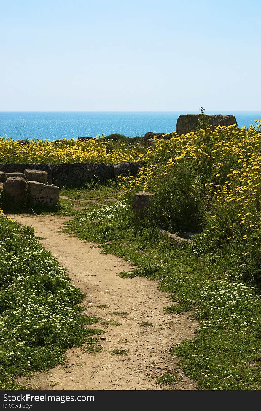 A Panorama Of Selinunte