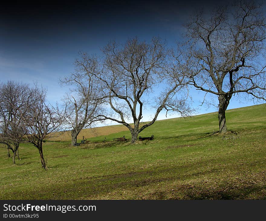 Early spring