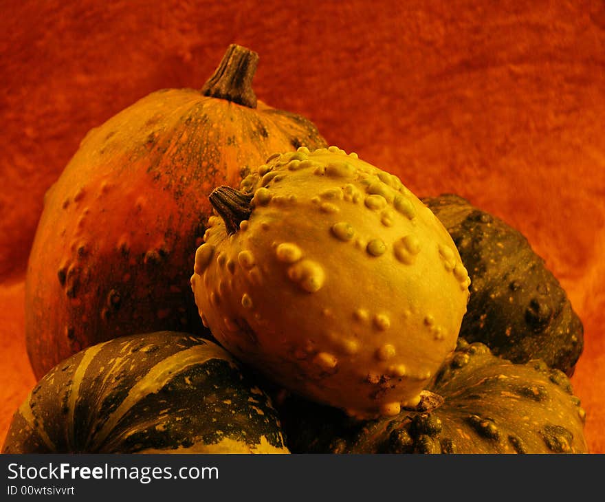 Gourds