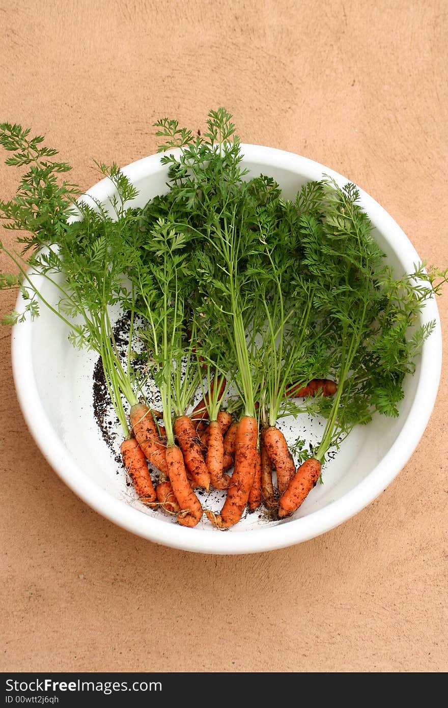 Fresh Carrots 2