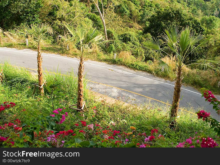 Tropical empty road