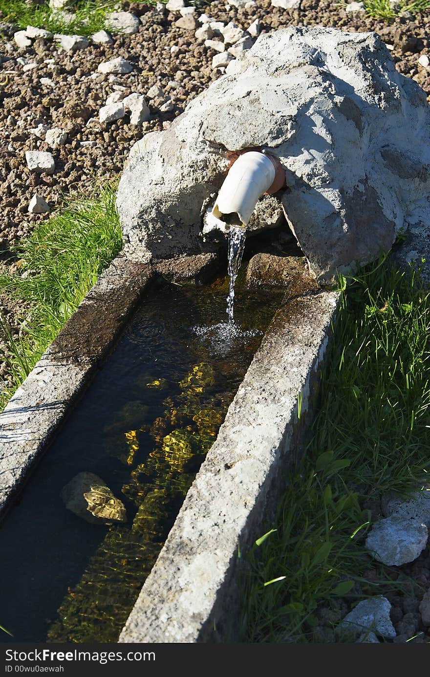 Natural source in the forest near the Vico's lake