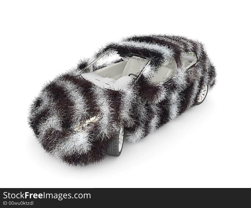 Exclusive zebra car