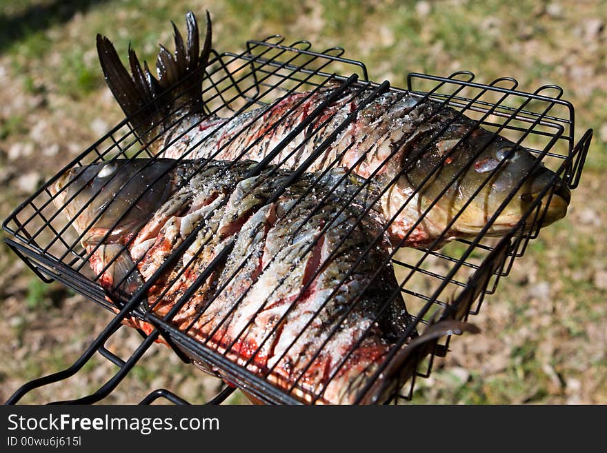 Raw carps on wire rack