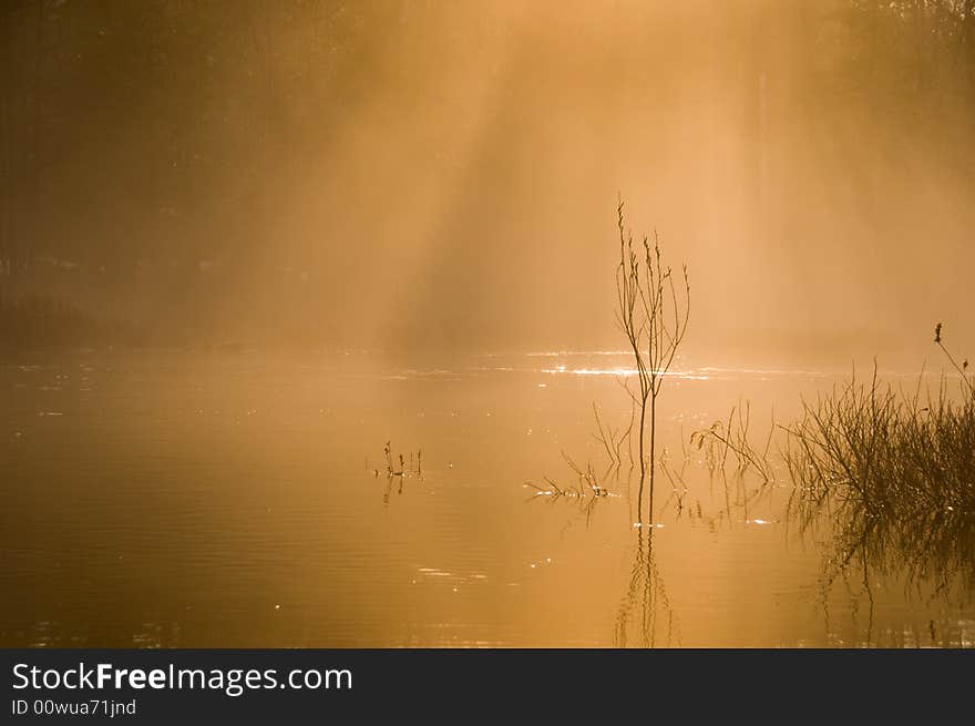 Morning Mist