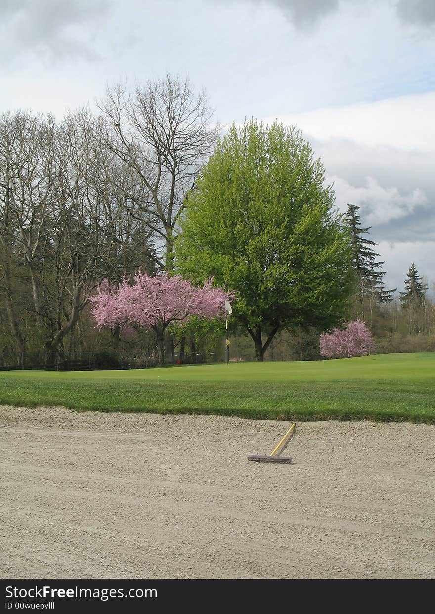 Sand trap with golf course greens in the background. Sand trap with golf course greens in the background.