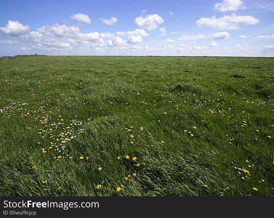 Green field