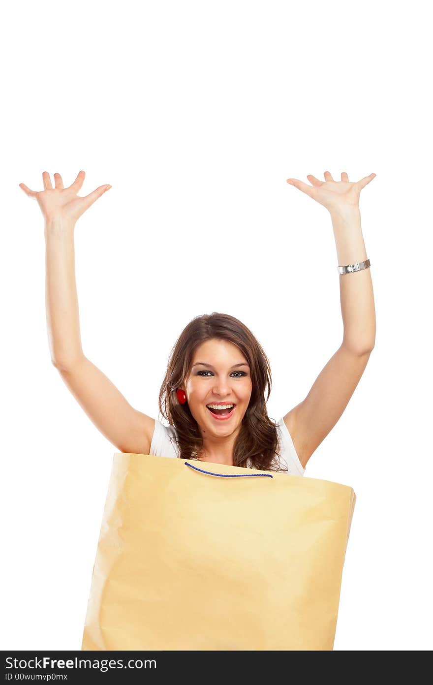 Beautiful woman in a bag over white background. Beautiful woman in a bag over white background