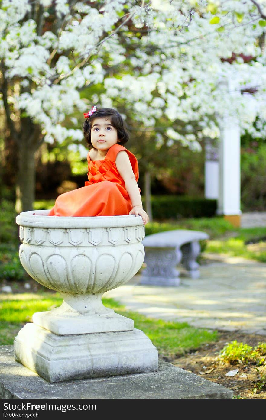 2 year old toddler sitting in a flower pot with a gorgeous white flower bokeh in the back. 2 year old toddler sitting in a flower pot with a gorgeous white flower bokeh in the back