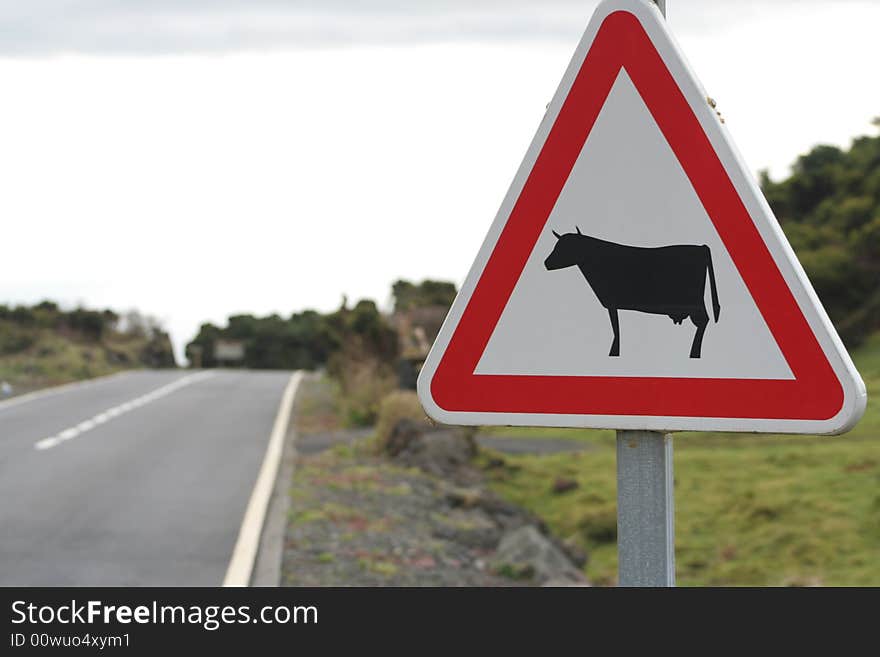 Cow danger road signal with road at the left. Cow danger road signal with road at the left