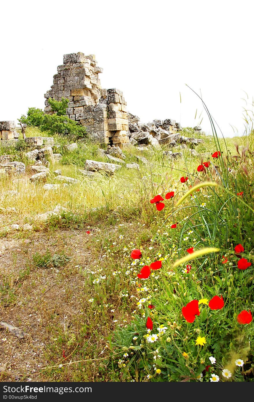 Poppy flowers and ancient remains. Poppy flowers and ancient remains