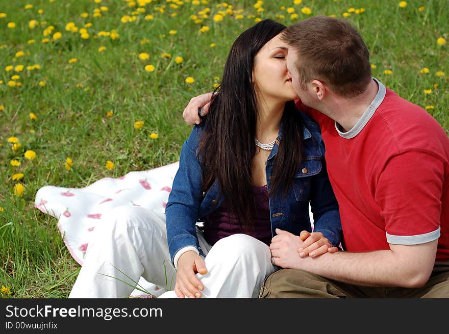 Happy couple on green meadow. Happy couple on green meadow