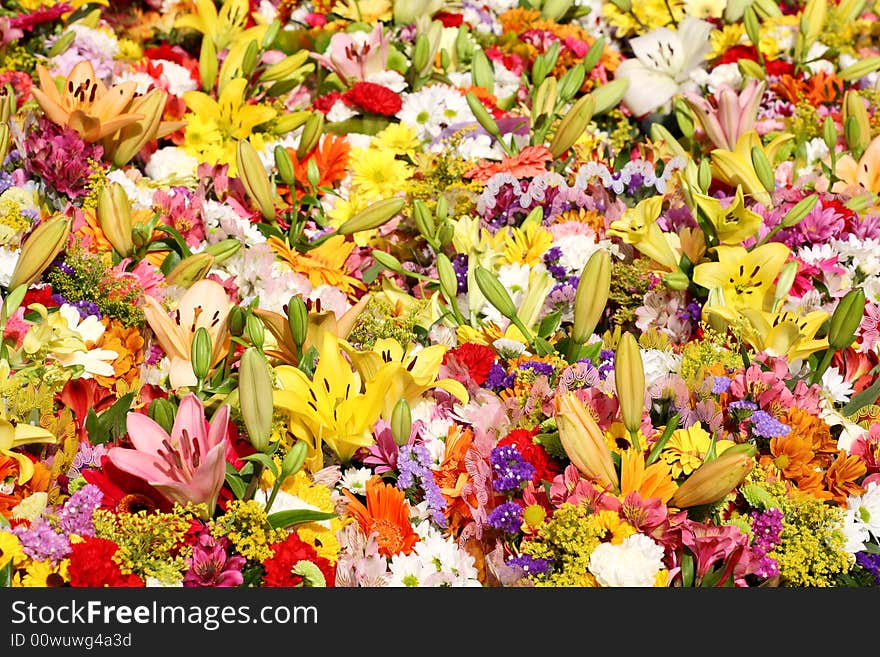 Flowers background