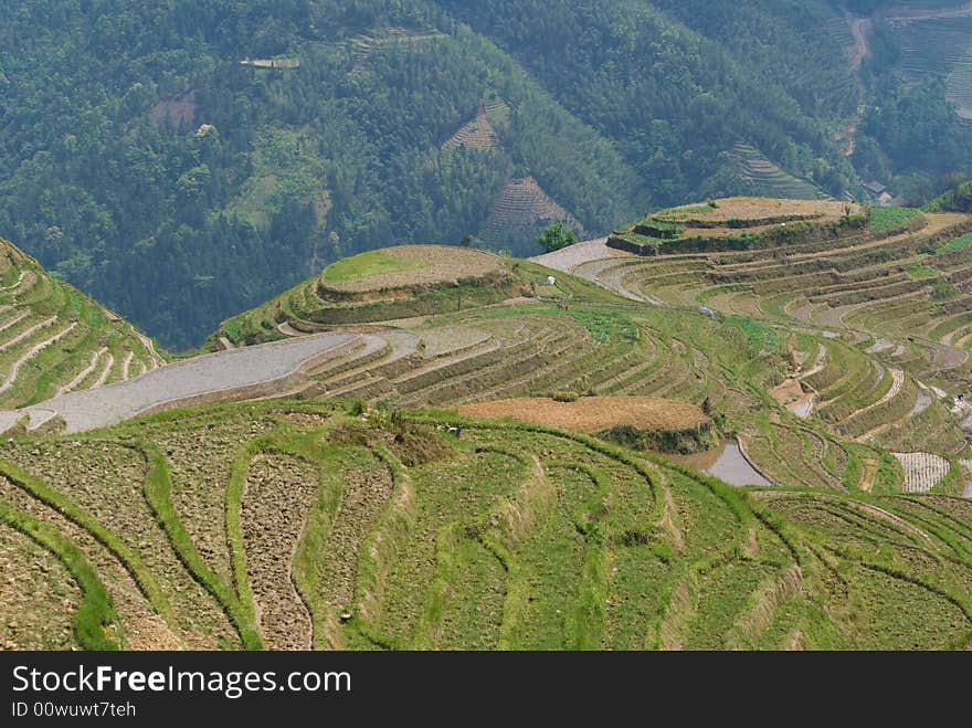 Zhuang Terraces scenic area view