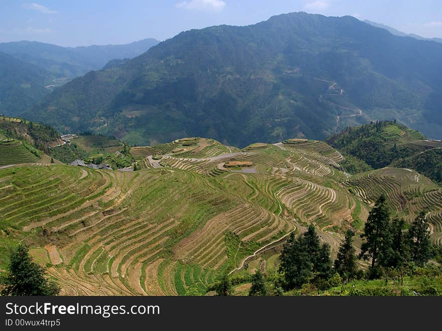 Zhuang Terraces scenic area view