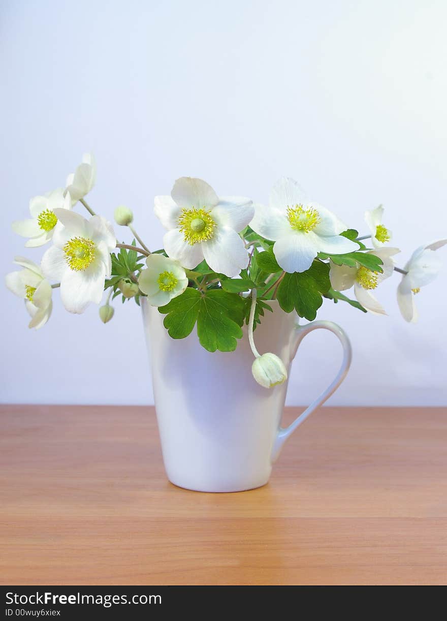 Flowers in a white cup