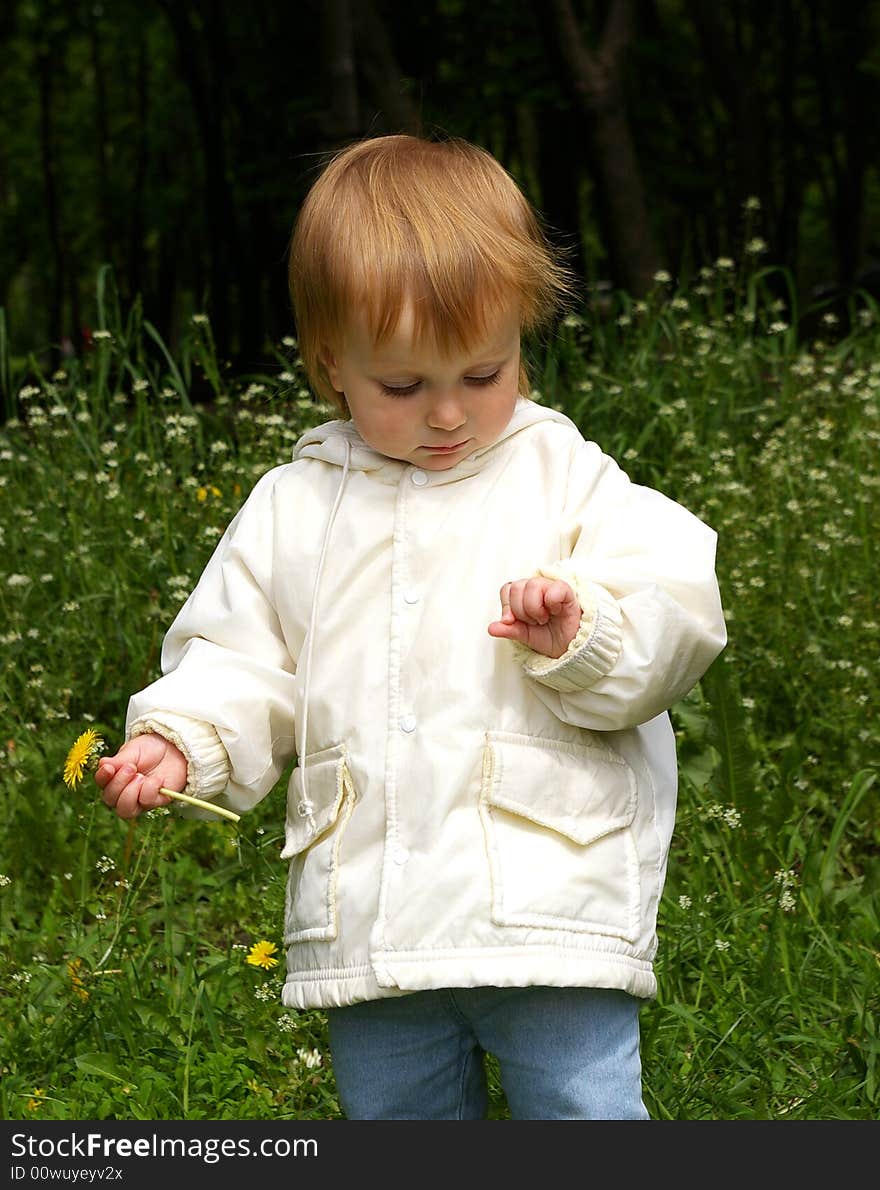 Girl holds a yellow dandelion