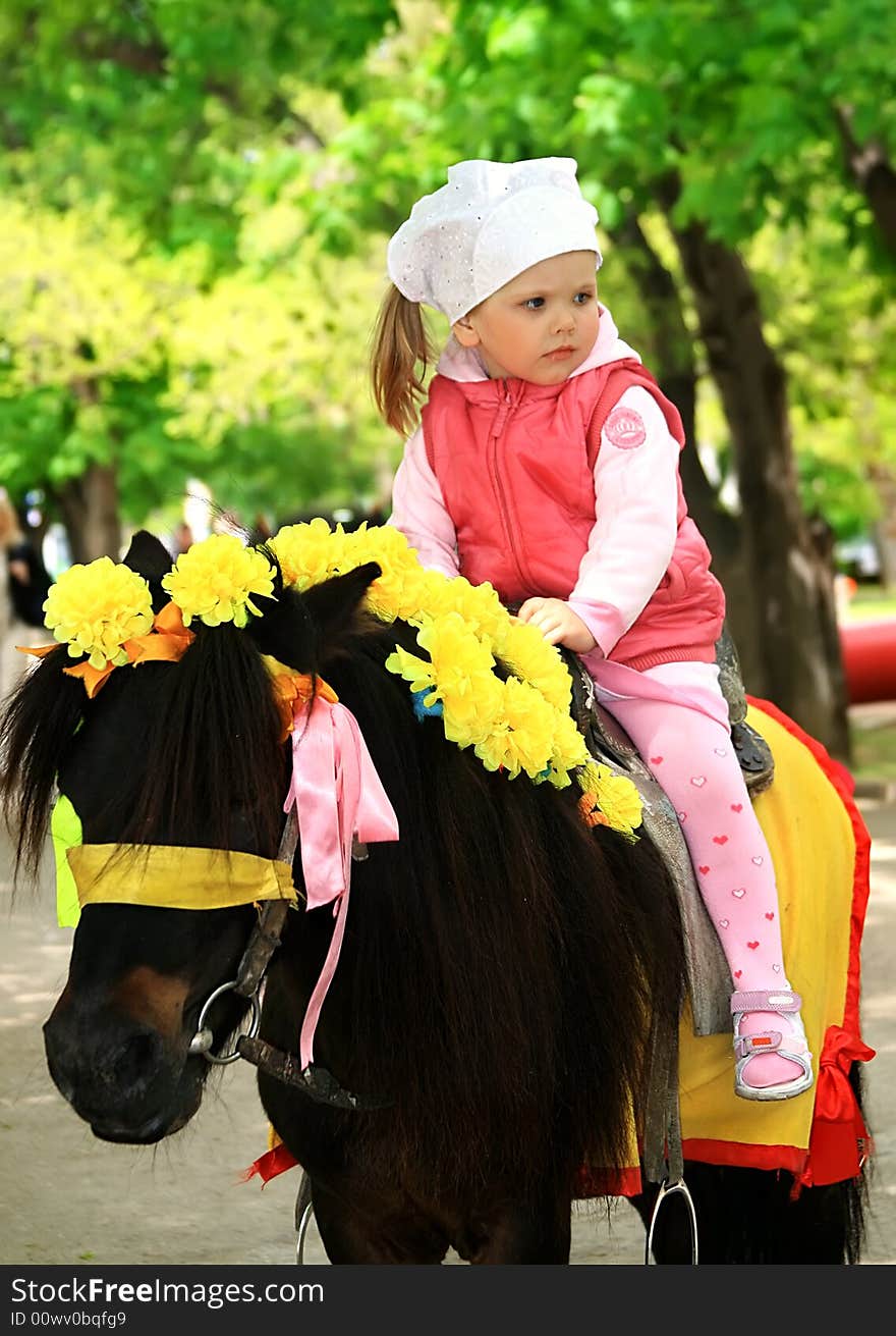 Little girl on the small pony