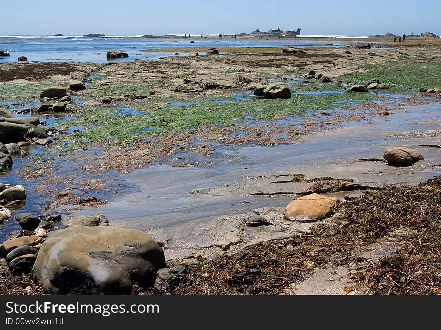 North California Beach