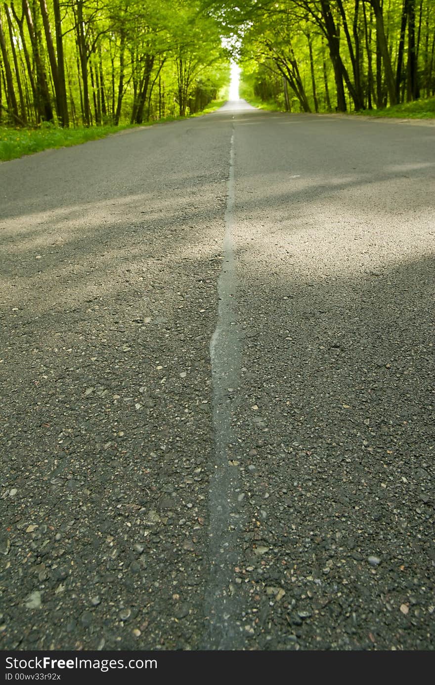 Road in the forest - focus on asphalt surface. Road in the forest - focus on asphalt surface.