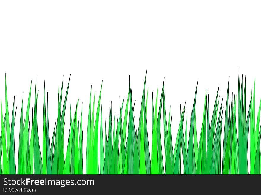 Green grass isolated on the white back