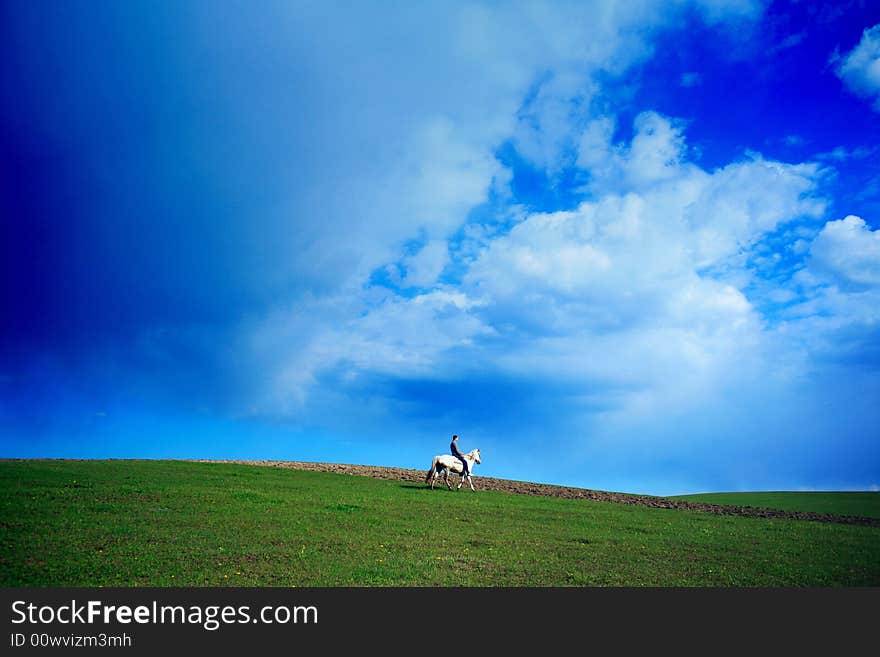 An image of a rider on white horse in the green field. An image of a rider on white horse in the green field