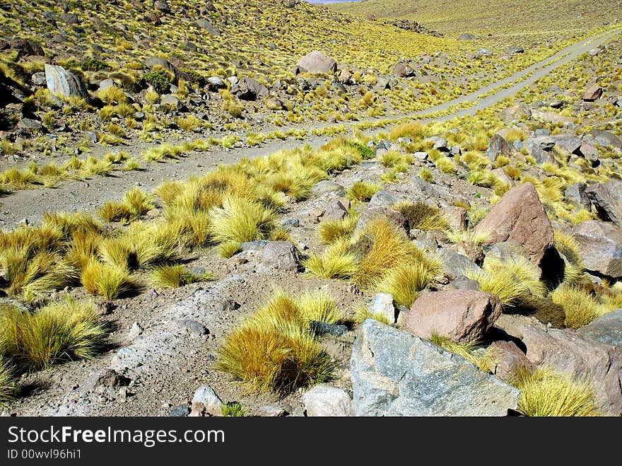 Way in Andes, Chile