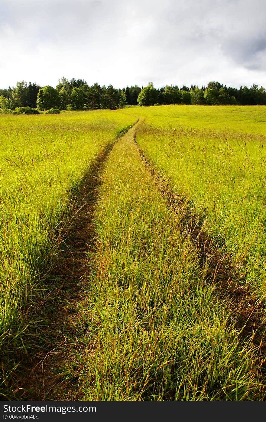 Country road to steppes, vertical format