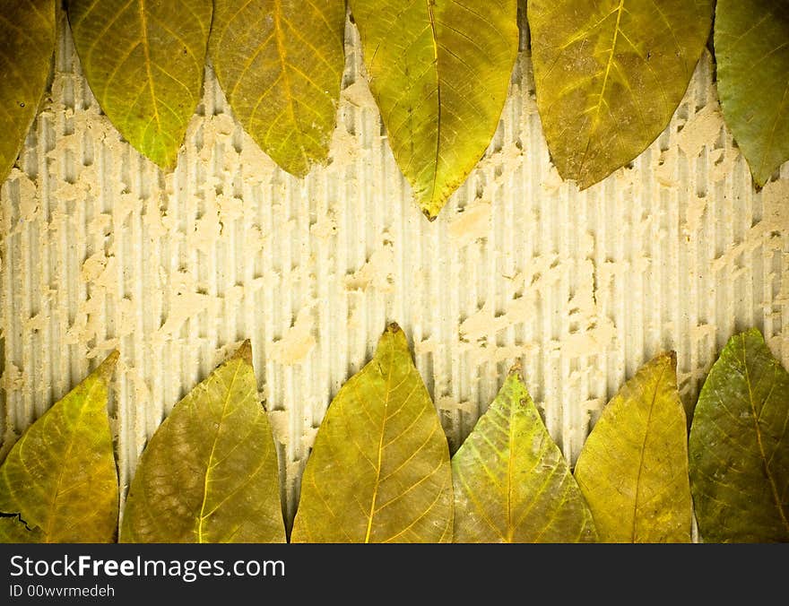 Grunge background with dry leaves