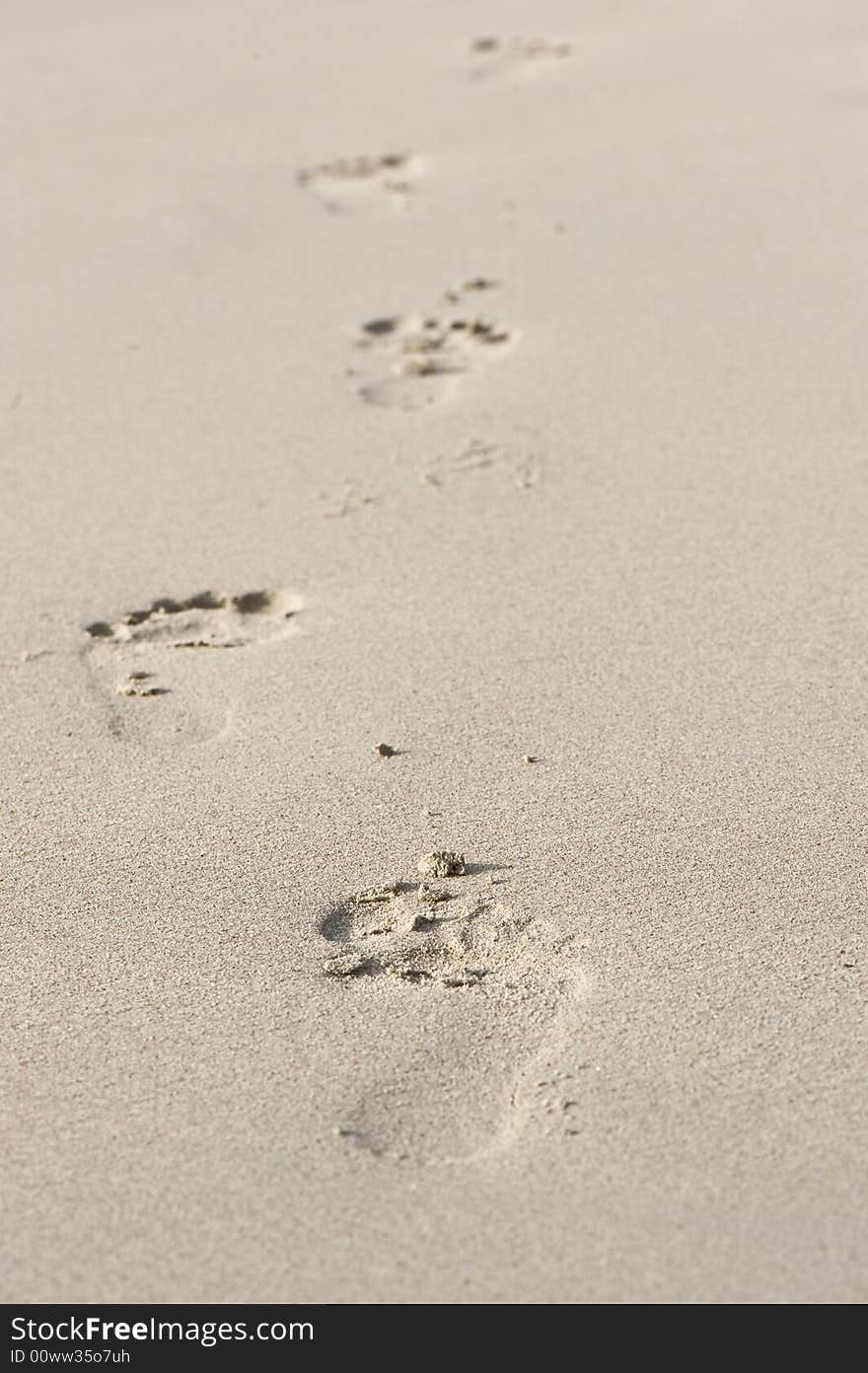 Footprints on beach