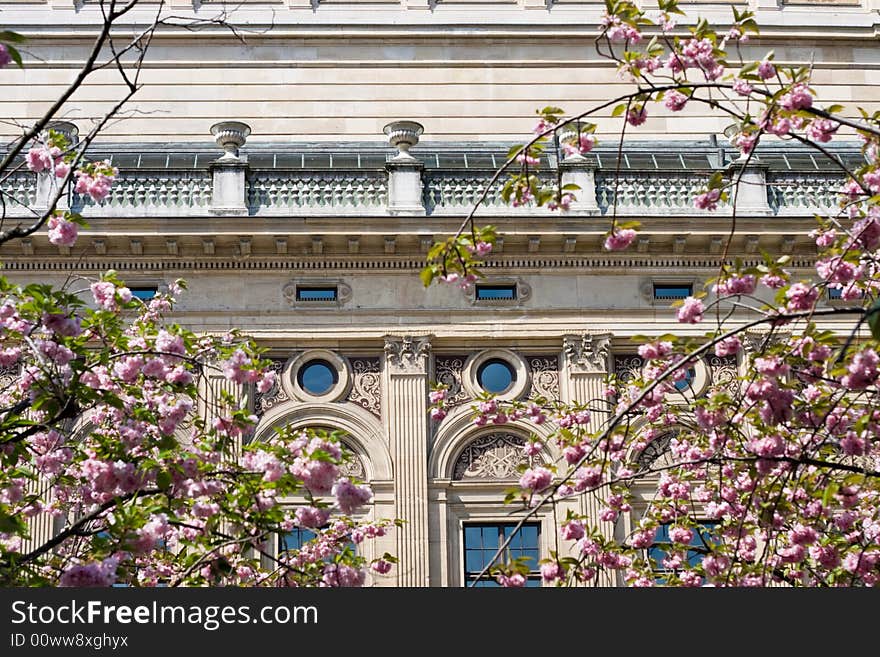 Spring blossoms on Frankfurt's Alte Oper. Spring blossoms on Frankfurt's Alte Oper