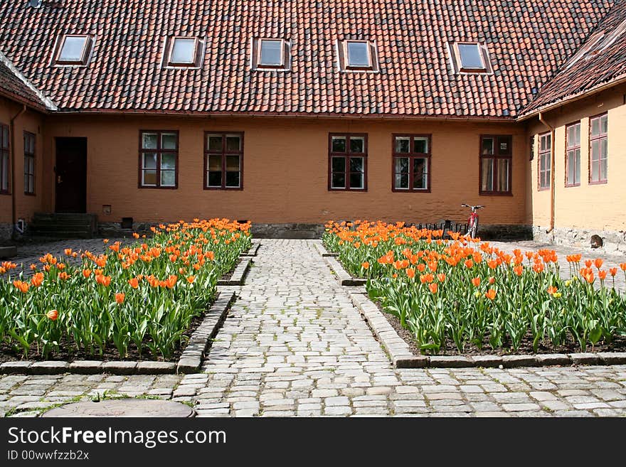 Flowers In Courtyard