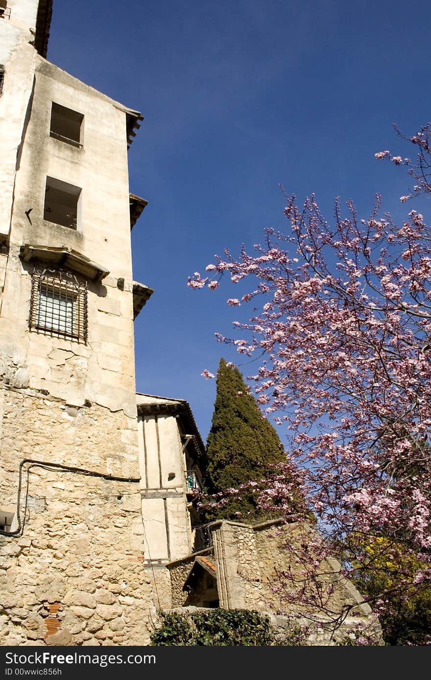 House and almond tree