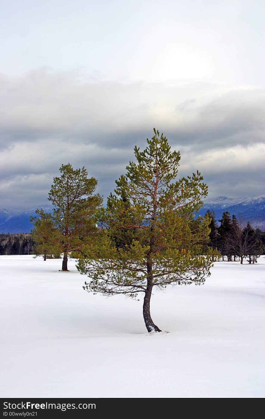 Bretton Woods, New Hampshire