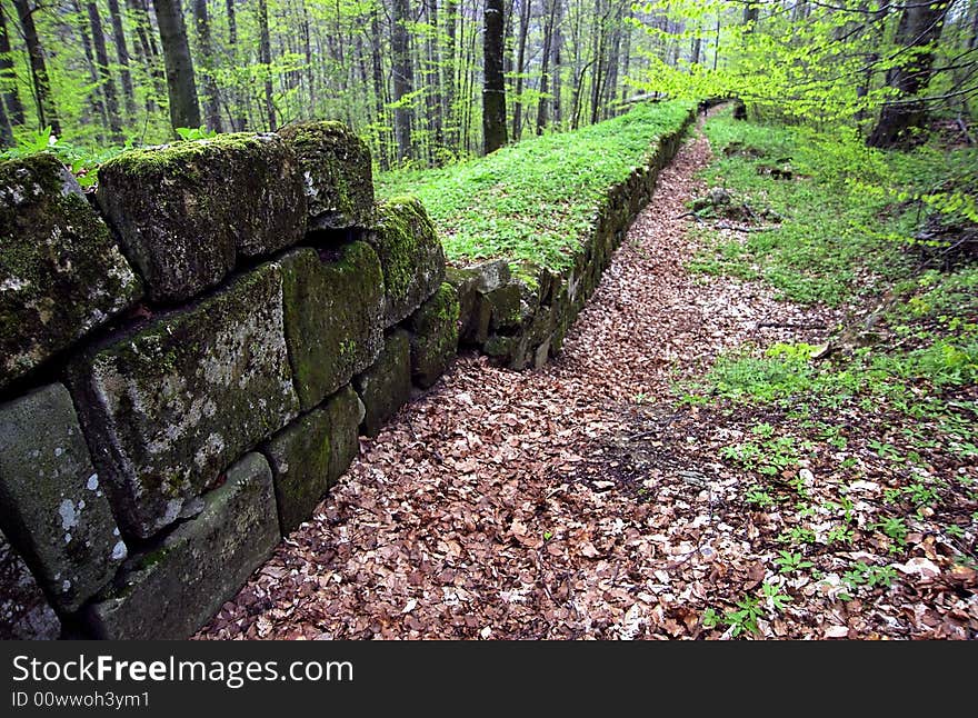 The ruins of Sarmizegetusa Dacian Fortress. The ruins of Sarmizegetusa Dacian Fortress