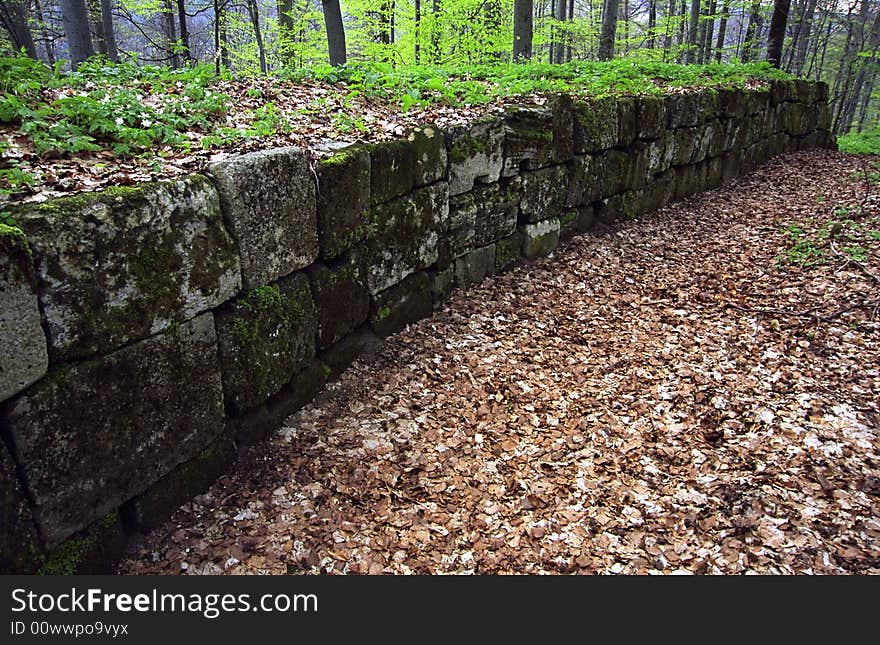 The ruins of Sarmizegetusa Dacian Fortress. The ruins of Sarmizegetusa Dacian Fortress