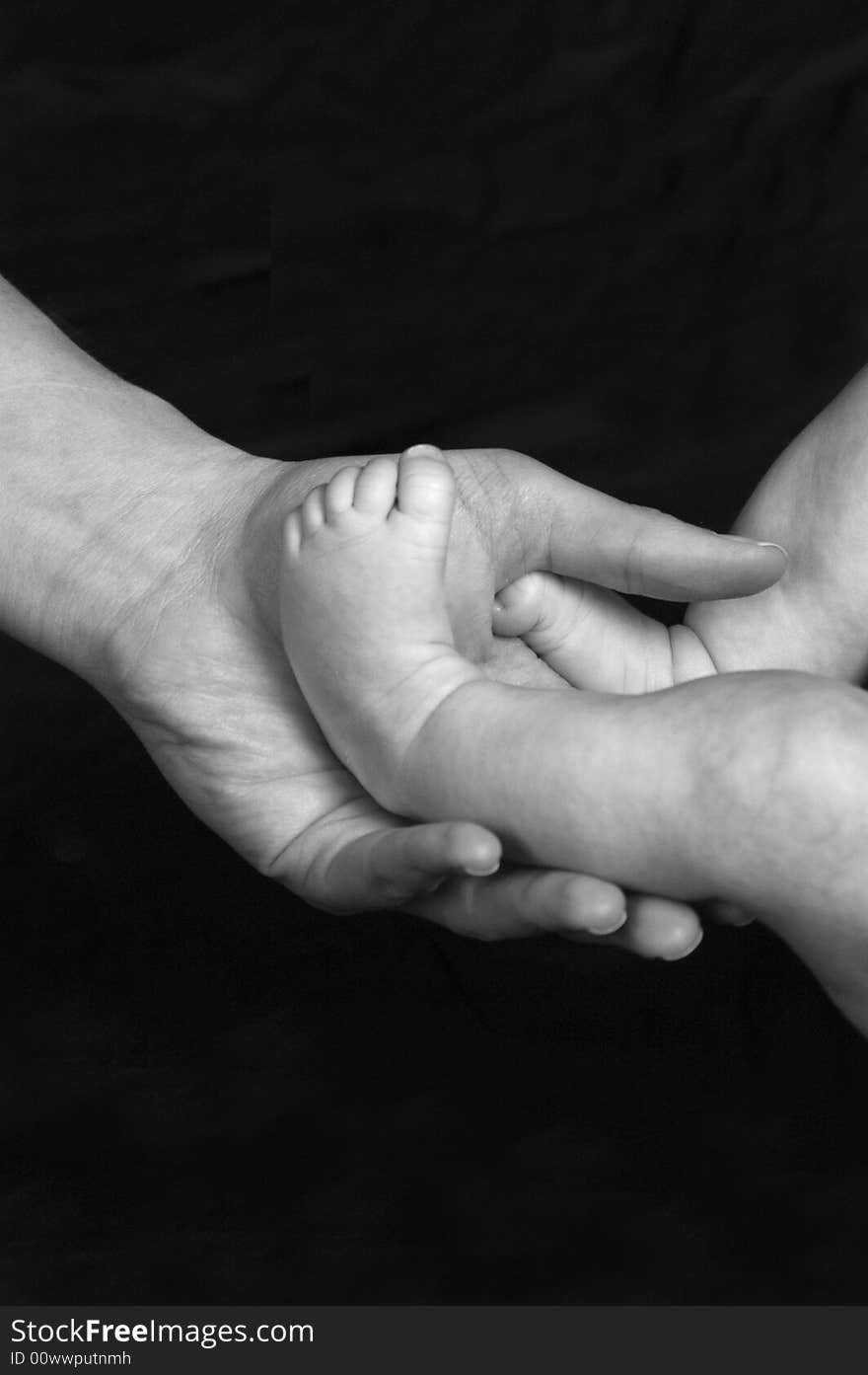 Baby's feet in mother's hand. Baby's feet in mother's hand