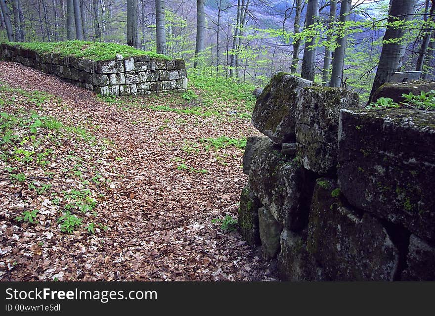 The ruins of Sarmizegetusa Dacian Fortress. The ruins of Sarmizegetusa Dacian Fortress